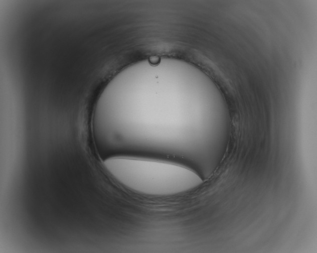 X0000102410642200808011017