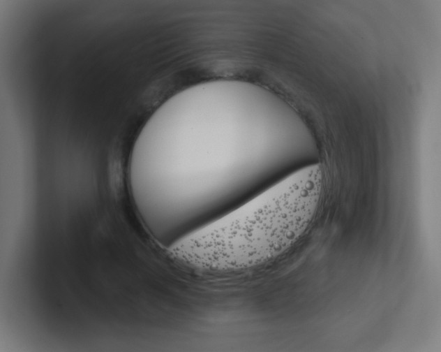 X0000102410646200808011017