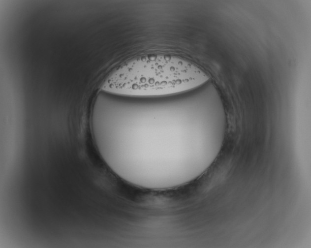 X0000102410648200808011017