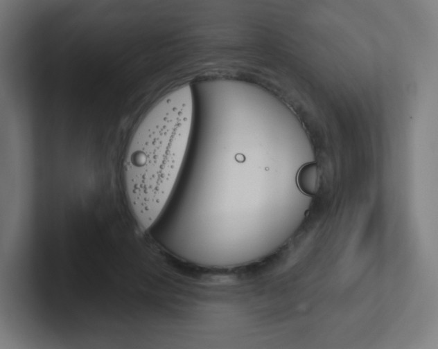 X0000102410649200808011017