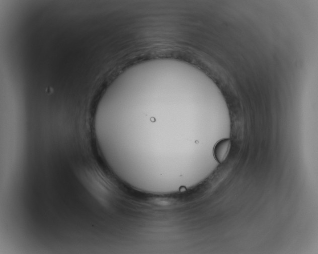 X0000102410654200808011017