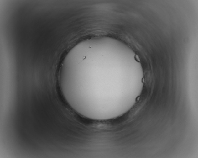 X0000102410655200808011017
