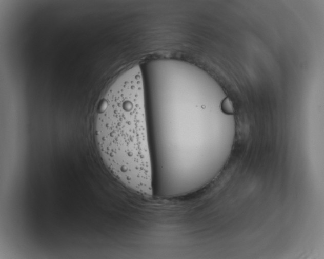X0000102410656200808011017
