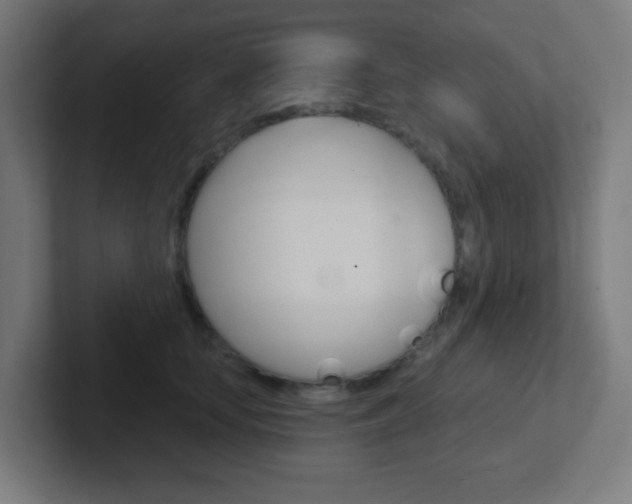 X0000102410659200808011017
