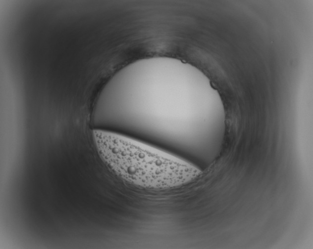 X0000102410660200808011017