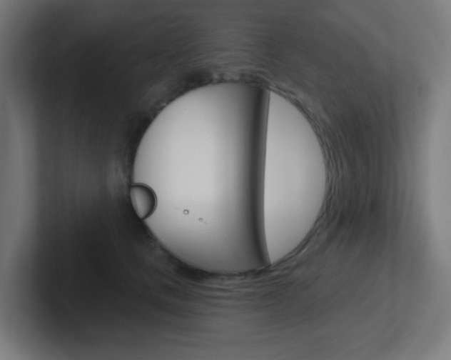 X0000102410661200808011017