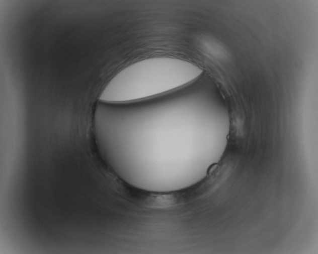 X0000102410665200808011017