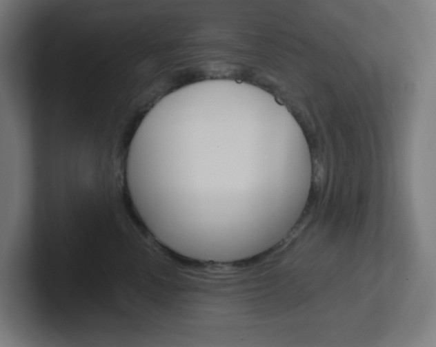 X0000102410666200808011017