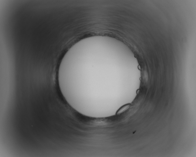 X0000102410668200808011017