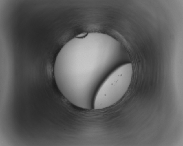 X0000102410669200808011017