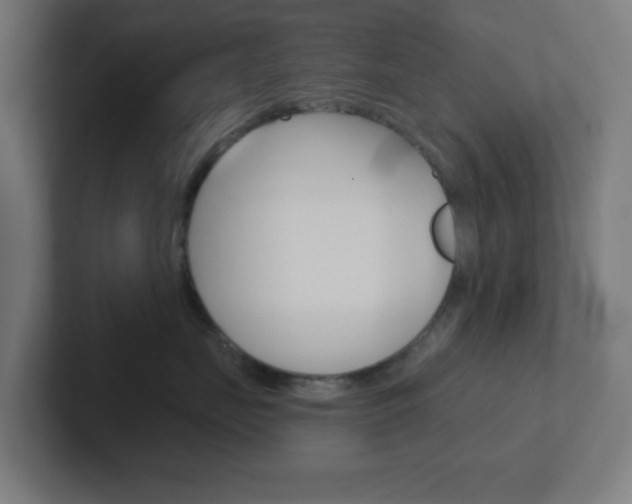 X0000102410671200808011017