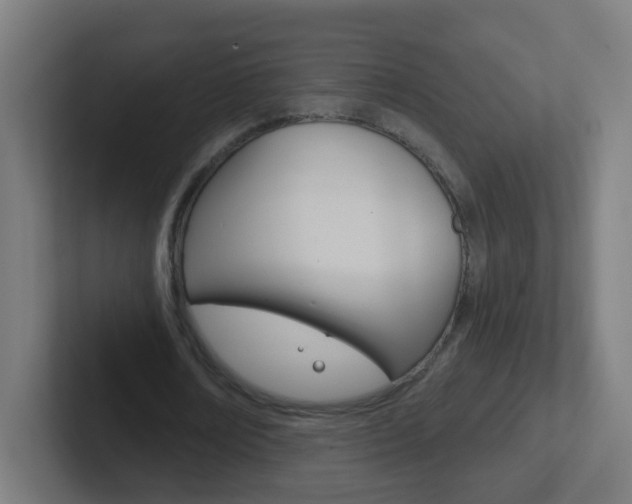 X0000102410674200808011017