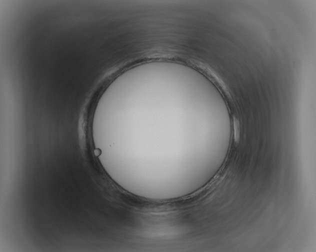 X0000102410675200808011017
