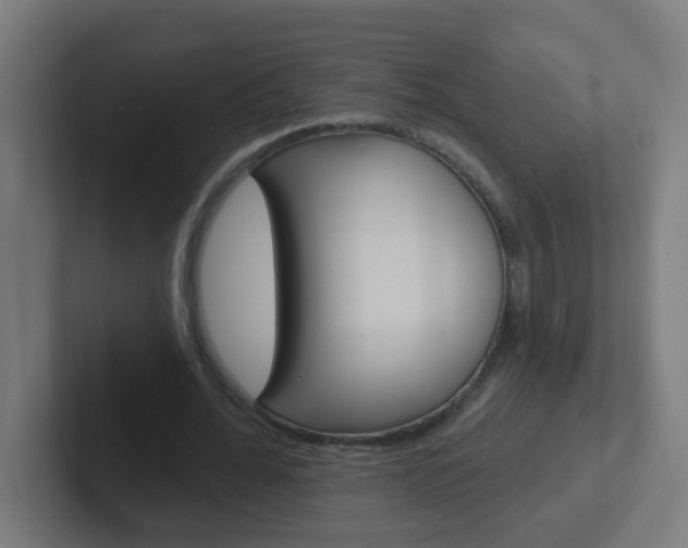 X0000102410676200808011017