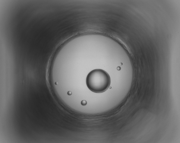 X0000102410677200808011017