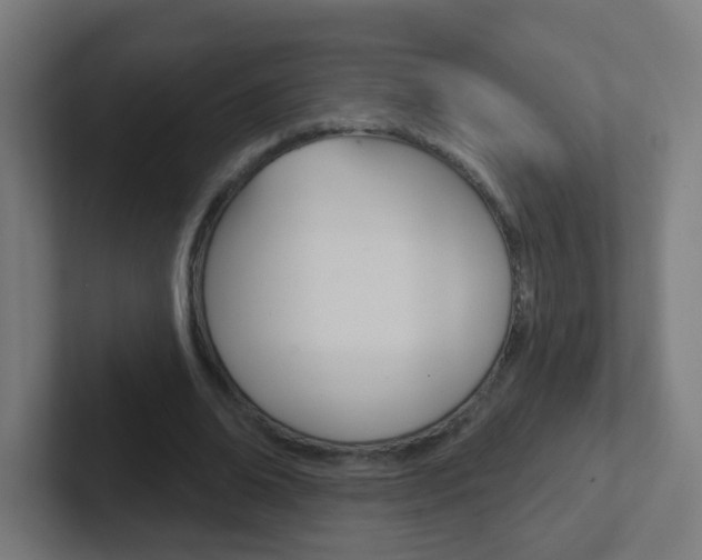 X0000102410678200808011017