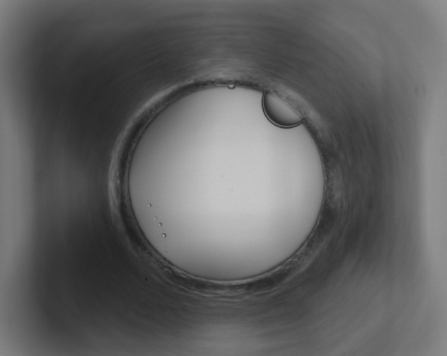 X0000102410680200808011016
