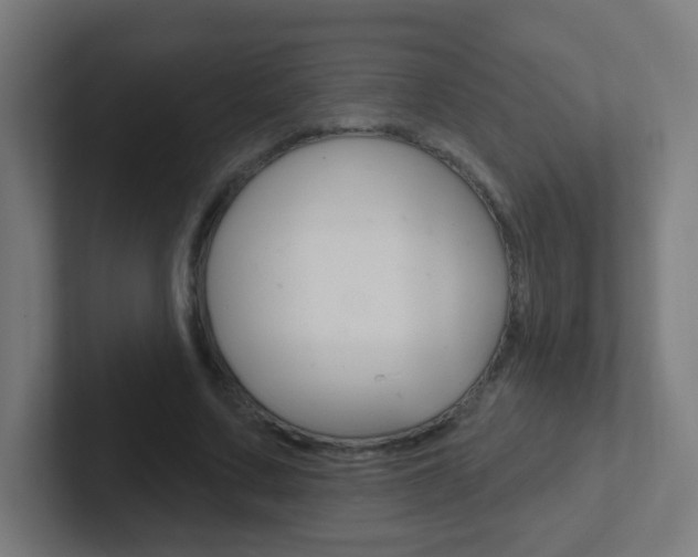 X0000102410683200808011016