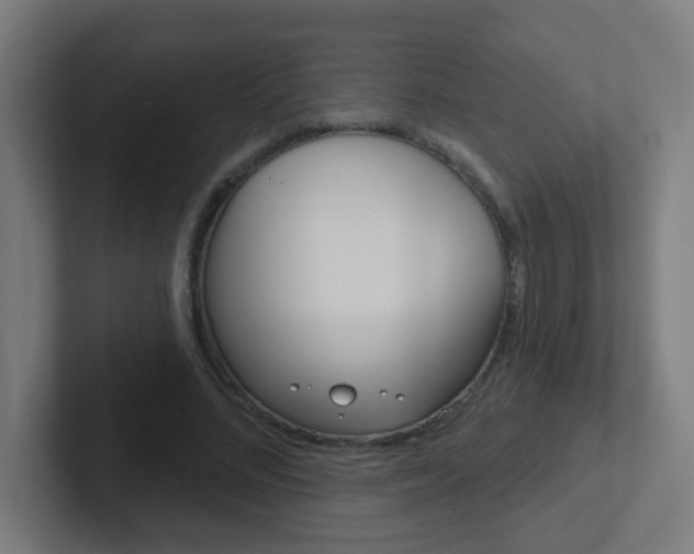 X0000102410684200808011016