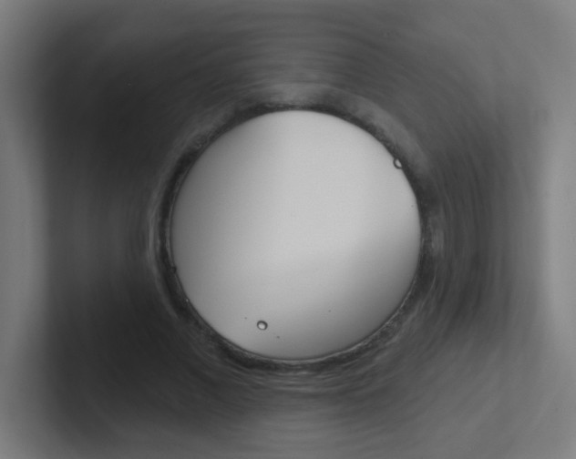 X0000102410685200808011016