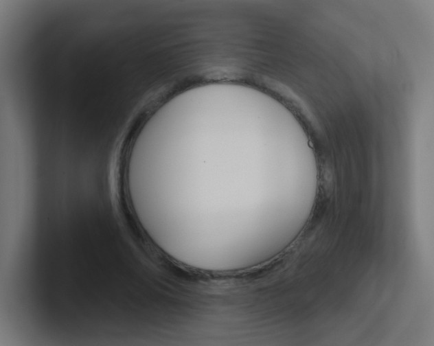 X0000102410686200808011016