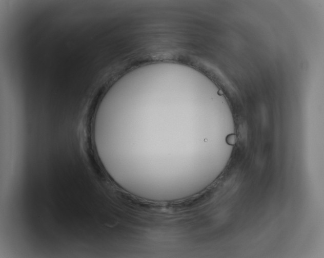 X0000102410687200808011016