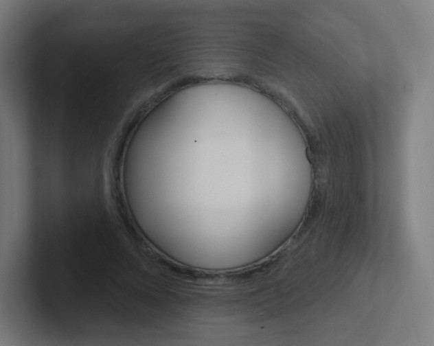 X0000102410688200808011016