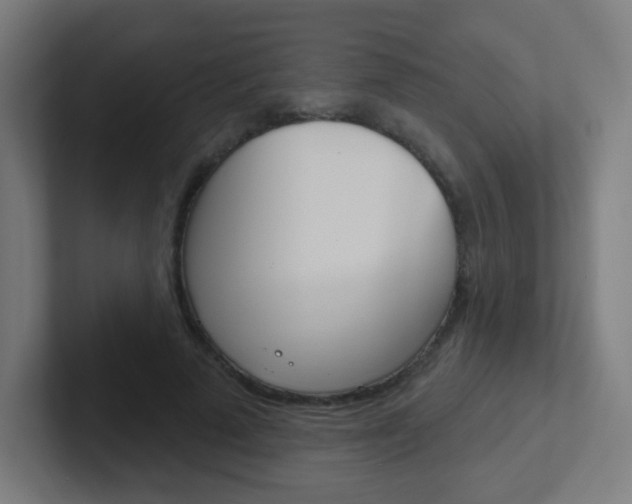 X0000102410689200808011016