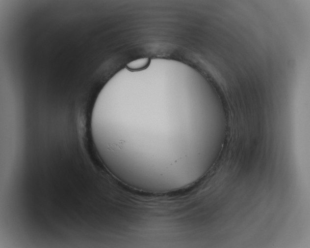 X0000102410693200808011016