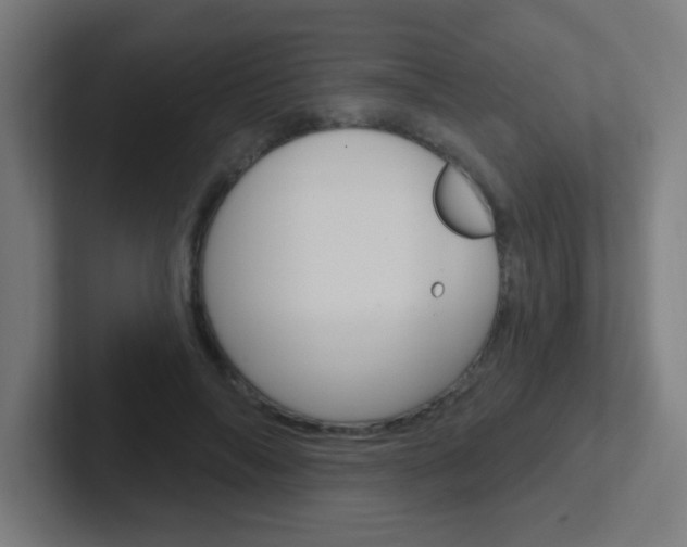 X0000102410694200808011016