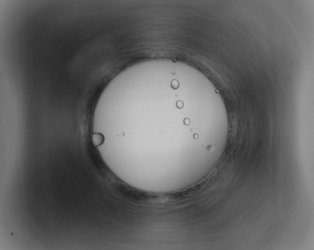 X0000102410695200808011016