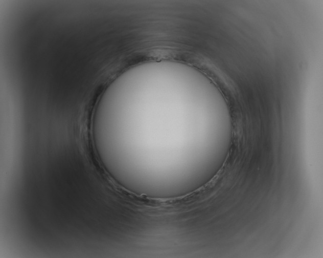 X0000102410696200808011016