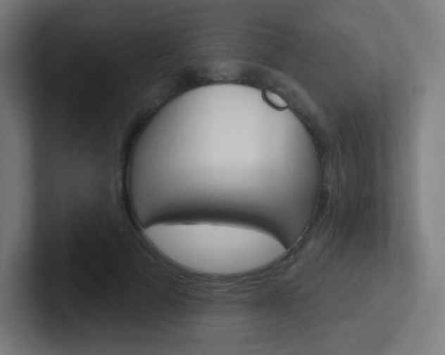 X0000102410697200808011016