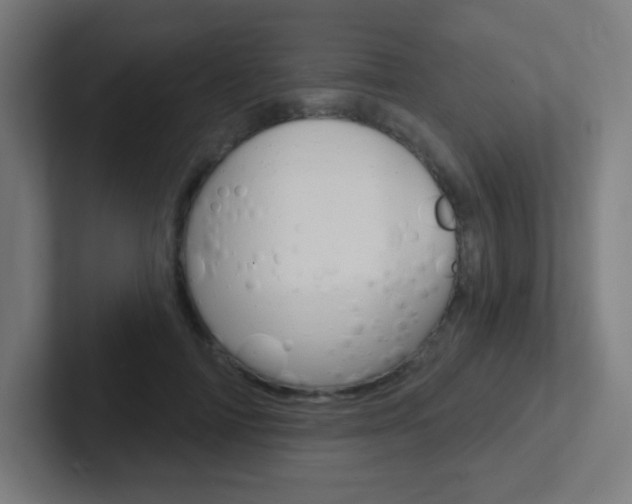X0000102410698200808011016
