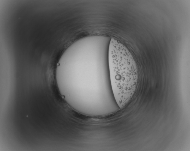 X0000102410699200808011016