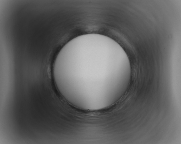 X0000102410700200808011016