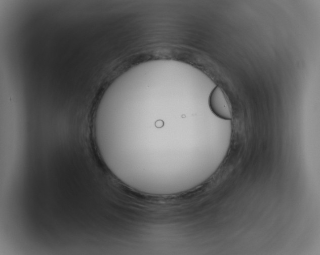 X0000102410702200808011016