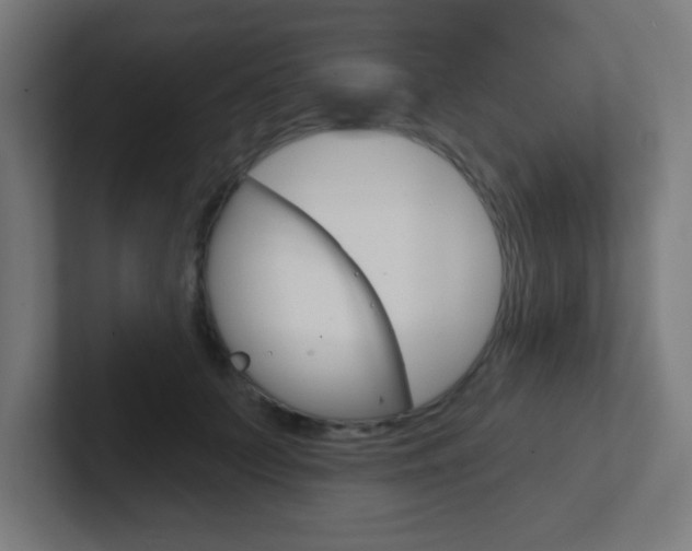 X0000102410703200808011016