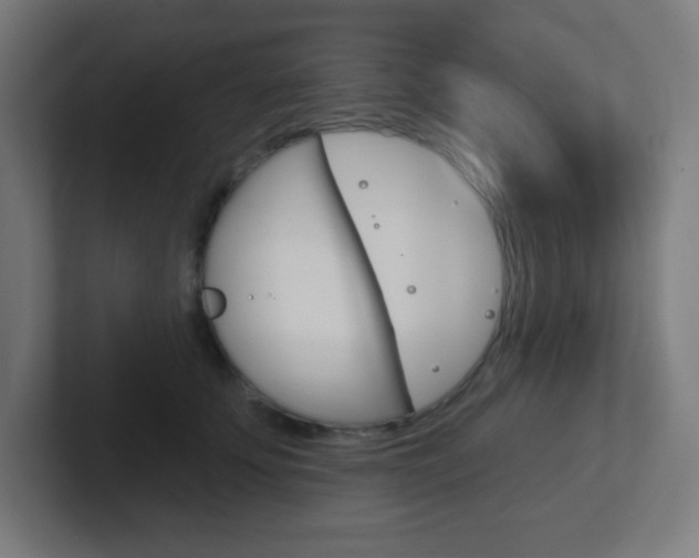 X0000102410707200808011016
