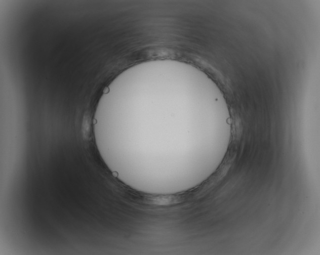 X0000102410709200808011016