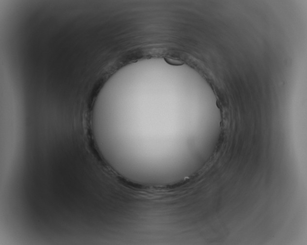 X0000102410712200808011016