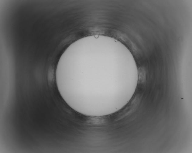 X0000102410713200808011016