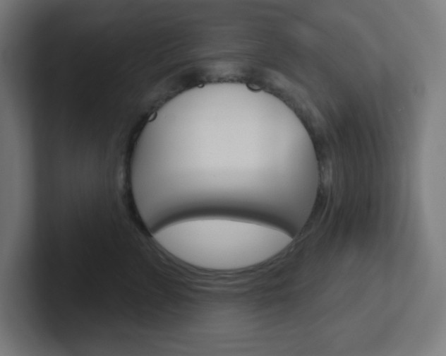 X0000102410715200808011016