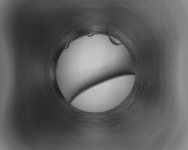 X0000102410719200808011016