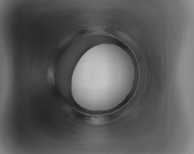 X0000102410720200808011016