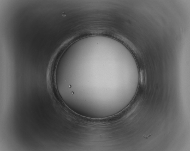 X0000102410723200808011015