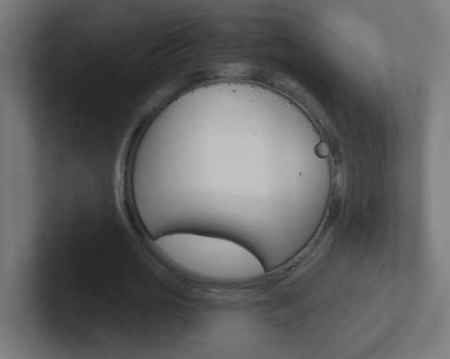 X0000102410725200808011015