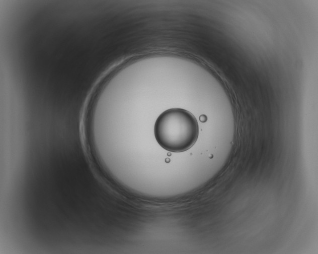 X0000102410726200808011015