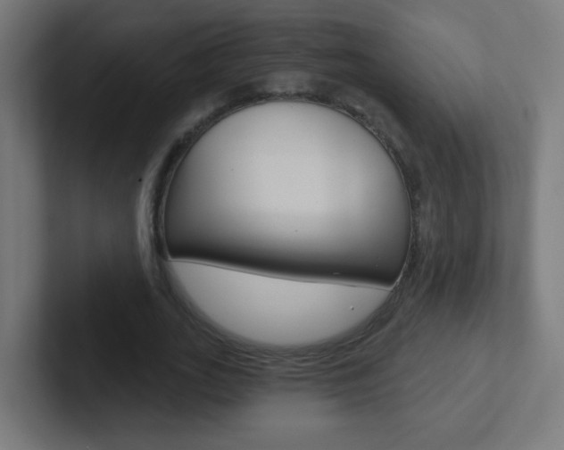 X0000102410727200808011015