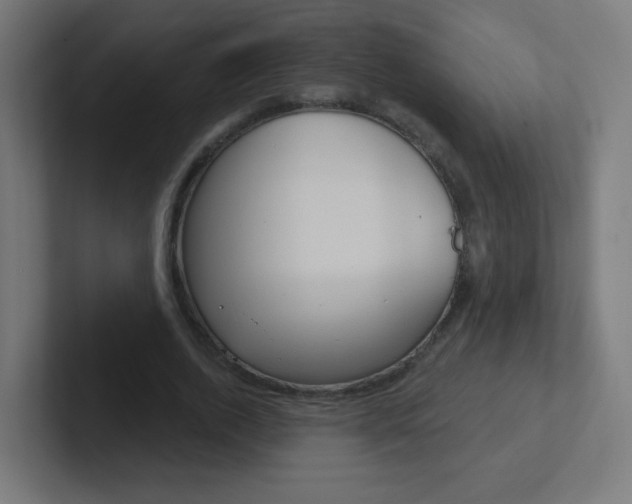 X0000102410728200808011015